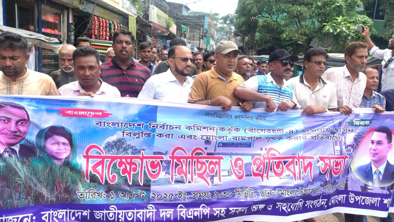 সিইসির প্রস্তাবের প্রতিবাদে বিএনপির বিক্ষোভ