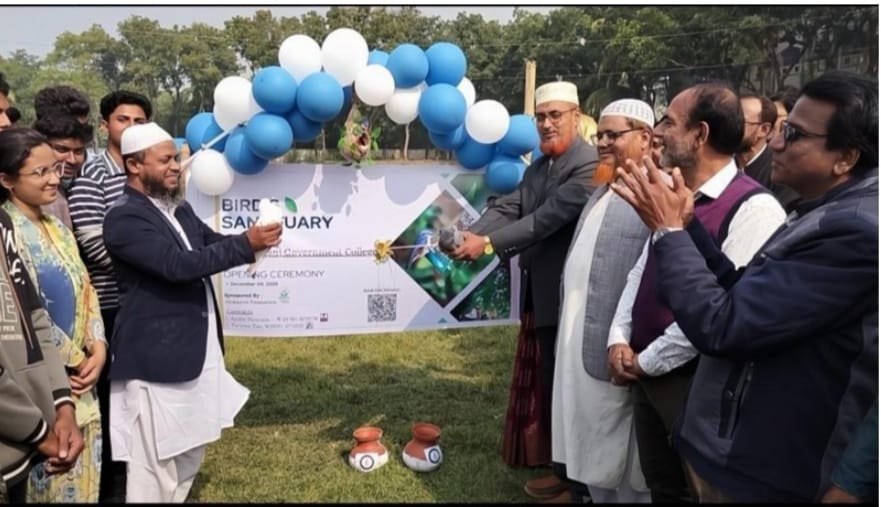 দেড়শ’ পাখির নিরাপদ অভয়ারণ্য স্থাপন করল শিক্ষার্থীরা