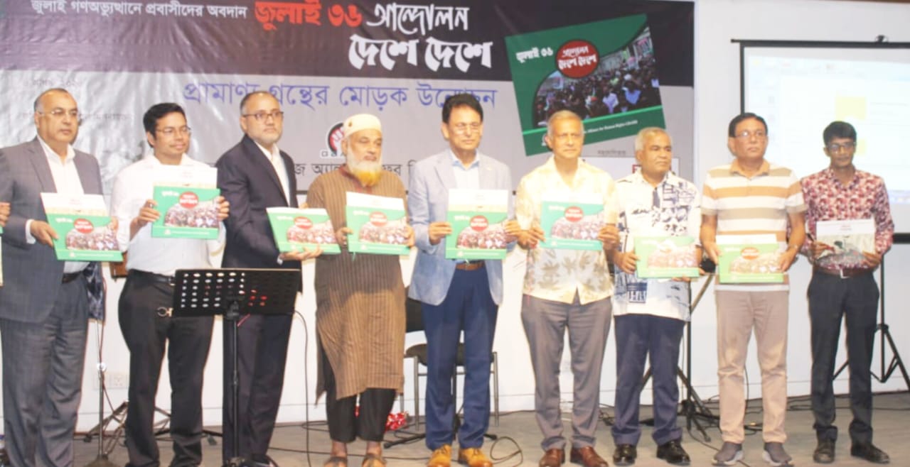 গণঅভ্যুত্থানে অবদানের স্বীকৃতি চেয়েছেন প্রবাসী জুলাই যোদ্ধারা