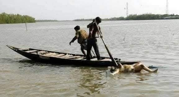 ২৫ মে আইলার ১৬ বছর আজ
