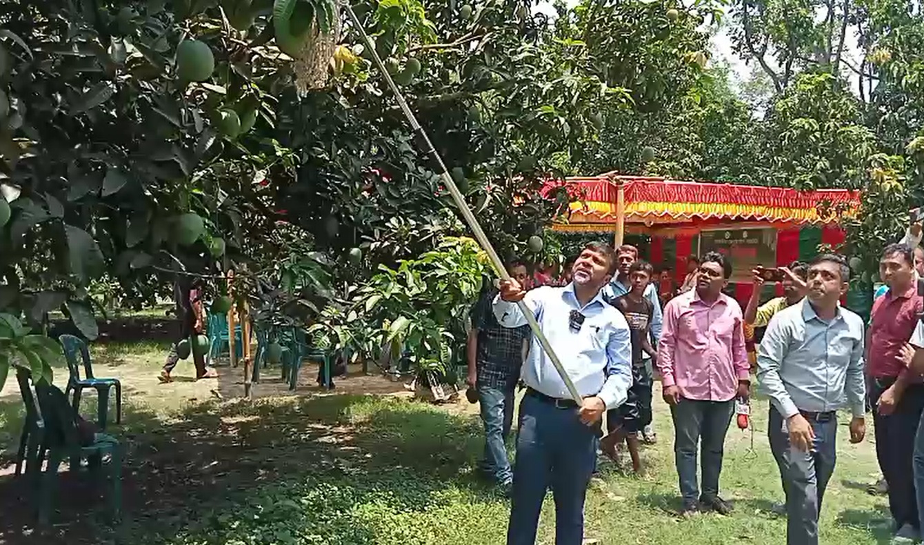 সাতক্ষীরায় `আম ভাঙা' কর্মসূচী উদ্বোধন