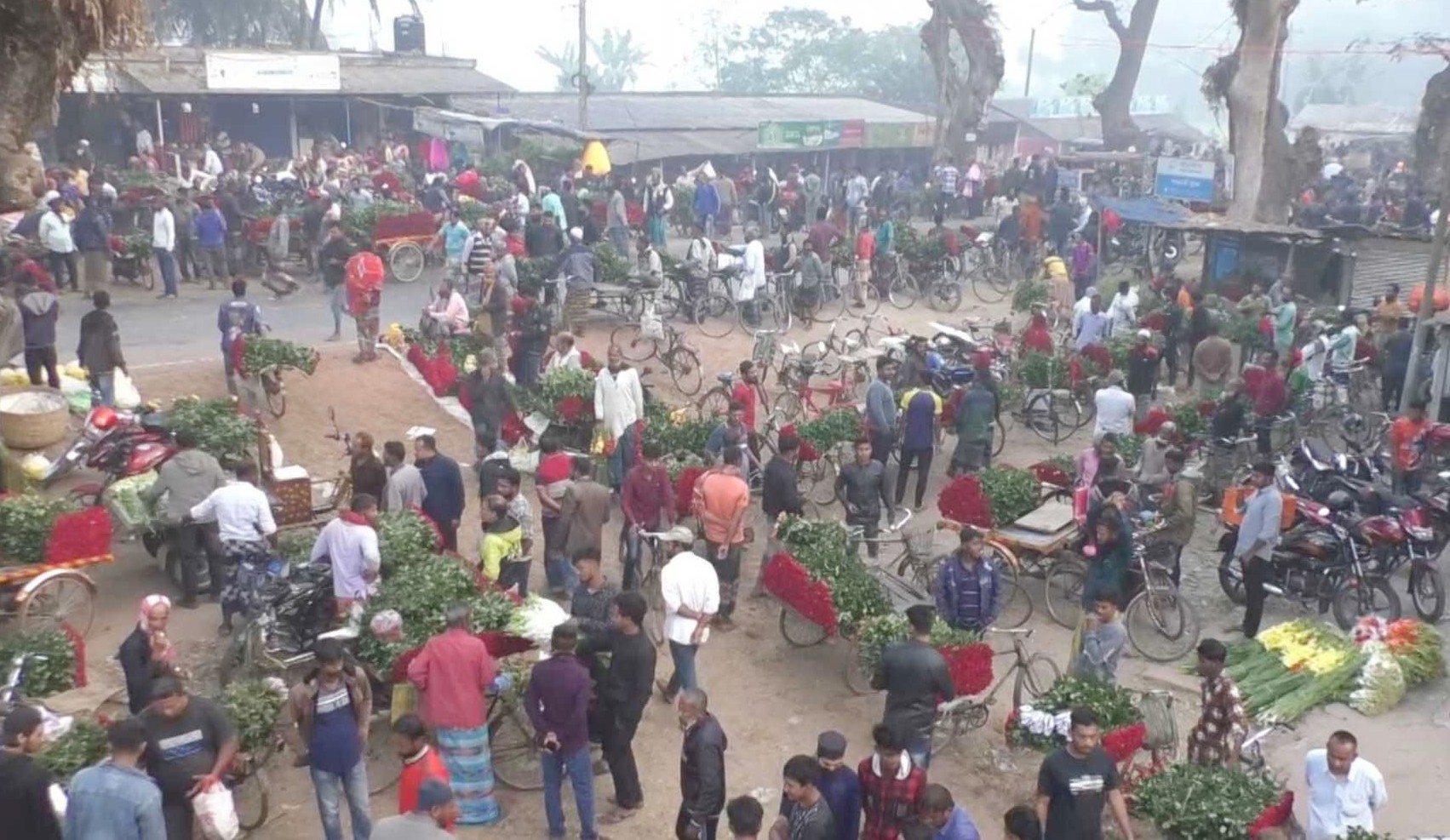 চাঙ্গা গদখালী ফুলের বাজার, বাড়তে শুরু করেছে দাম