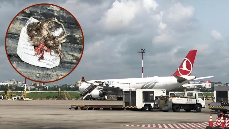 তার্কিশ এয়ারলাইন্সের সেই বিমানের ইঞ্জিনে কী ঘটেছিল?