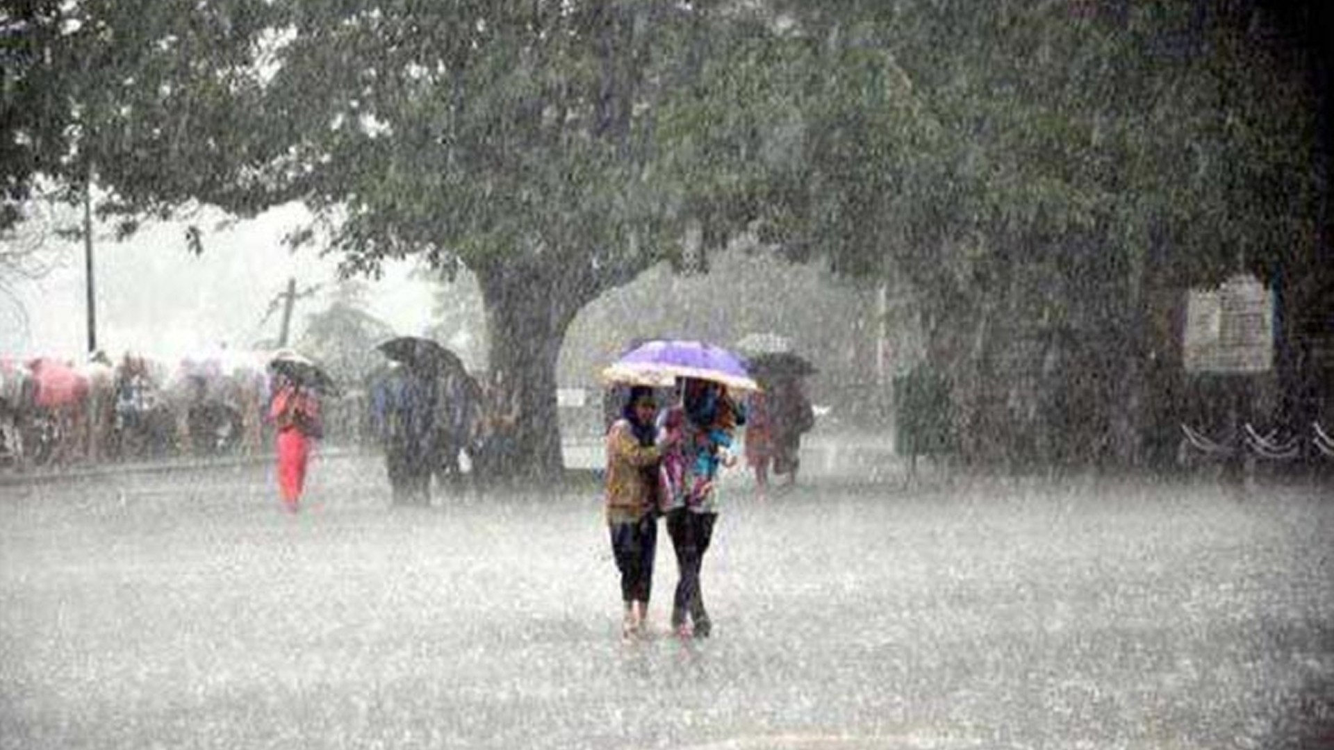 টানা বৃষ্টি কতদিন থাকবে জানাল আবহাওয়া অফিস