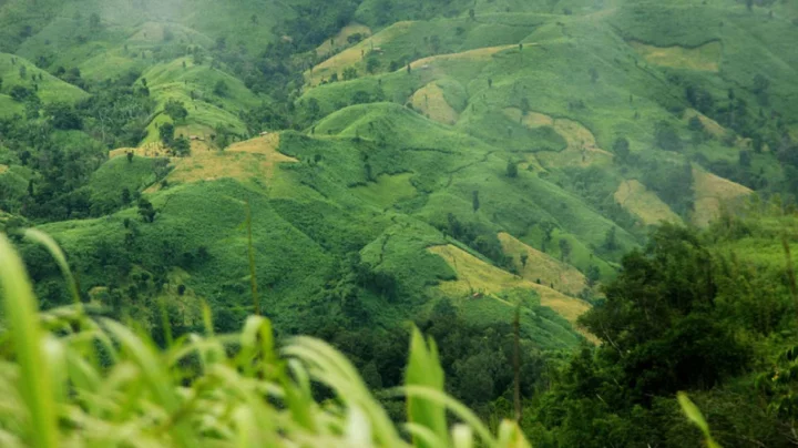 রুমায় সেনা অভিযানে কেএনএ কমান্ডারসহ নিহত ২
