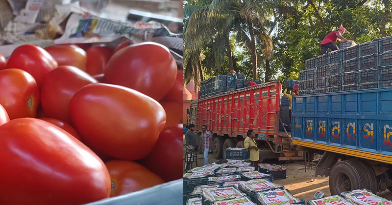 তিন মাসে ভারত থেকে টোমেটো আমদানি ২২,৪১৬ মেট্রিকটন