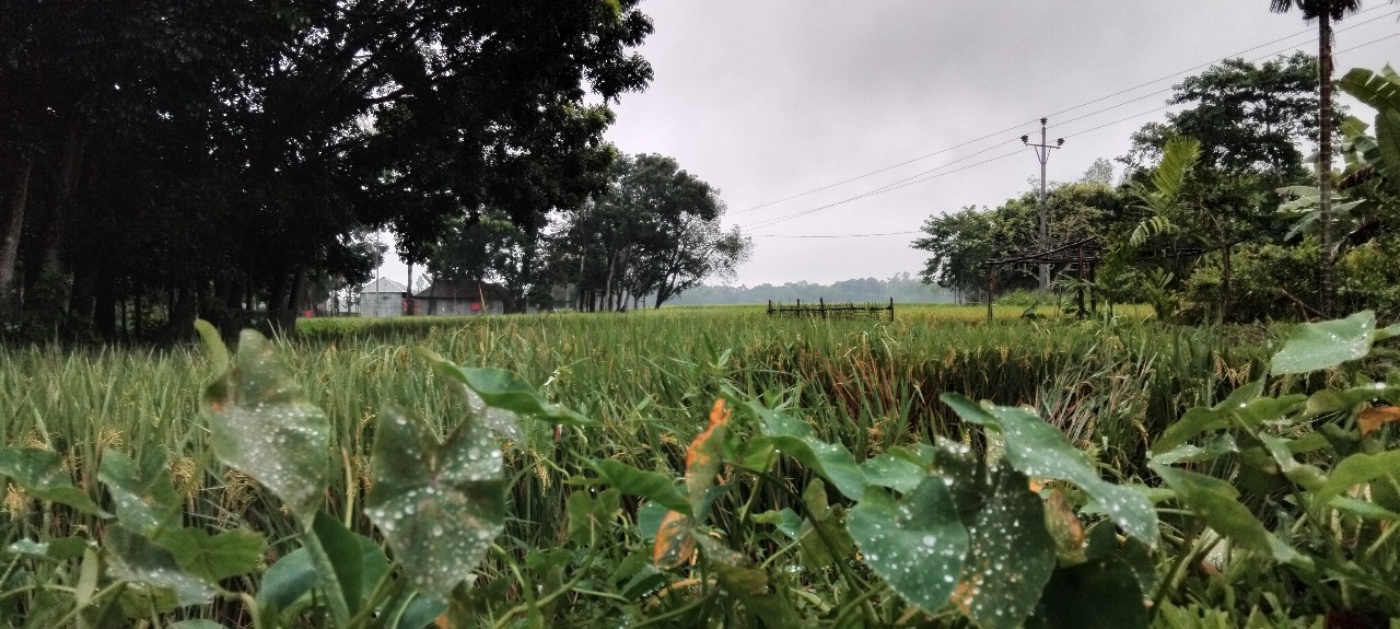 বিপাকে উত্তরের প্রান্তিক মানুষ