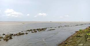নদীতে গোসল করতে নেমে মামা-ভাগ্নির মৃত্যু