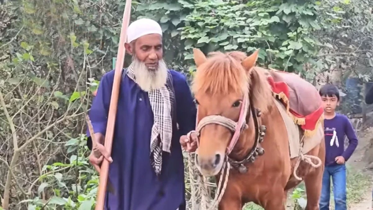 ‘শেষ ঠিকানার’ মনু মিয়ার ঘোড়াটিকে মেরে ফেললো দুর্বৃত্তরা