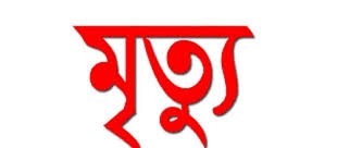 বকশীগঞ্জে অটোরিকশার ধাক্কায় শিশু শিক্ষার্থী নিহত
