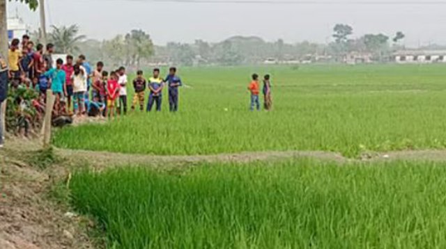 ধানক্ষেত থেকে নিখোঁজ অটোরিকশা চালকের মরদেহ উদ্ধার