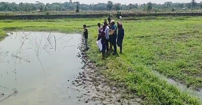 রূপসায় মাছের ঘেরে বিষ দিয়ে ২৫ লাখ টাকার মাছ নিধন
