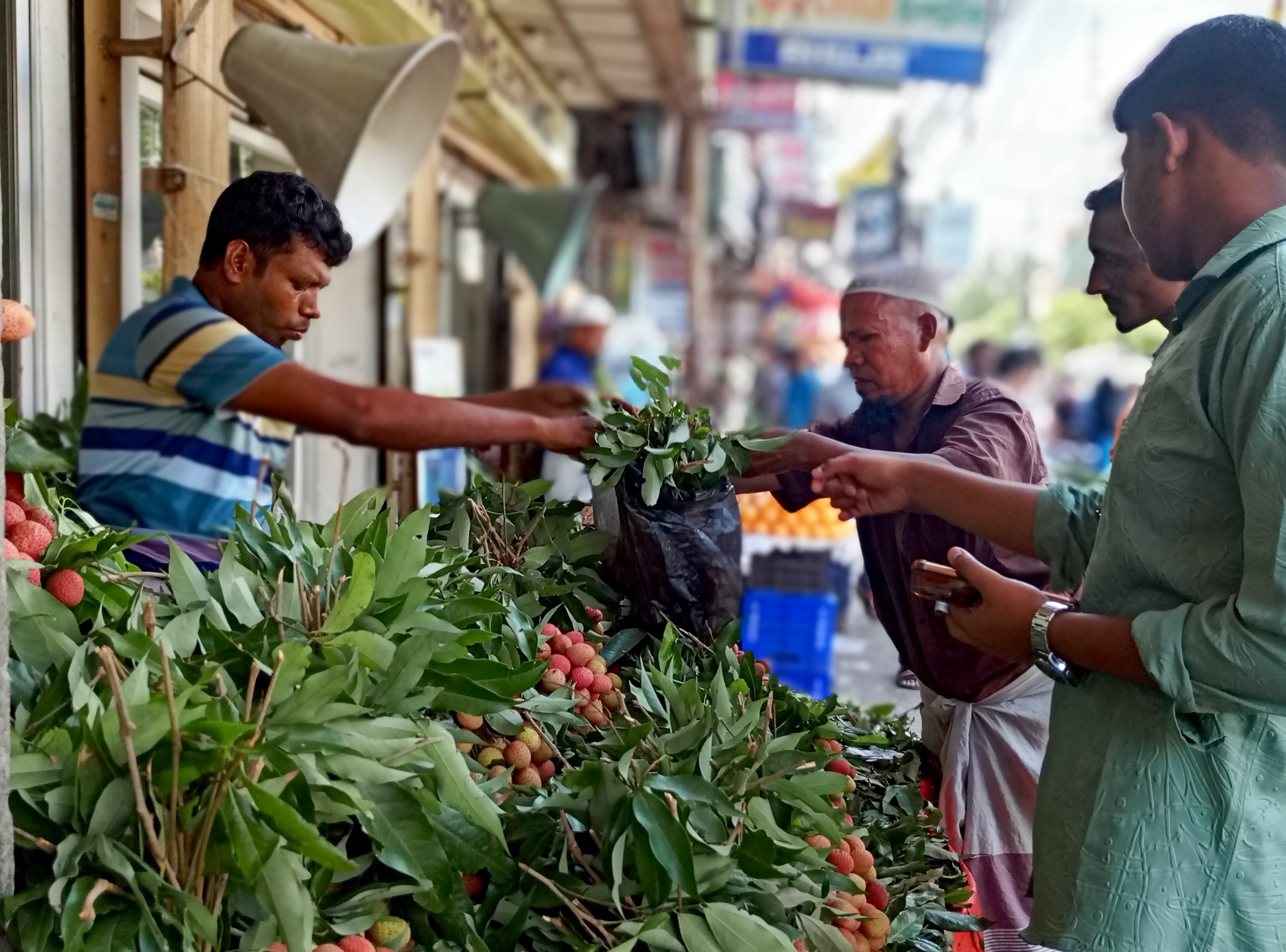 চাহিদা বেশি, দামও চড়া,ফেনীতে লিচুর বিক্রি তুঙ্গে