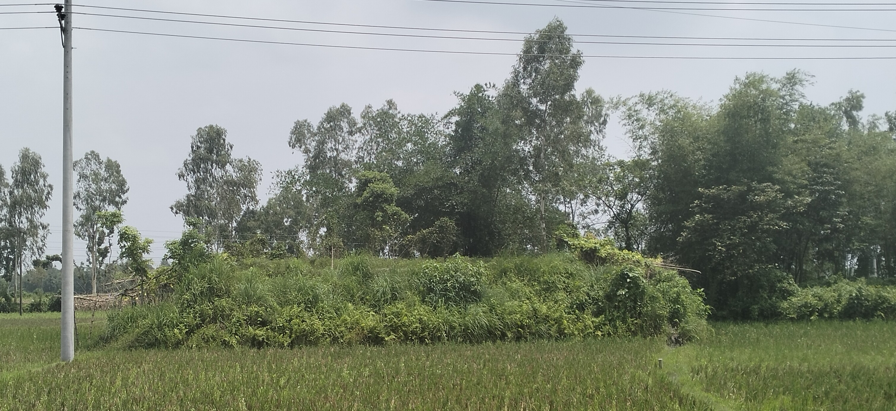 নীলফামারীর ঐতিহাসিক ‘ভিমের মা’র চুলা’ অস্তিত্ব হারাচ্ছে