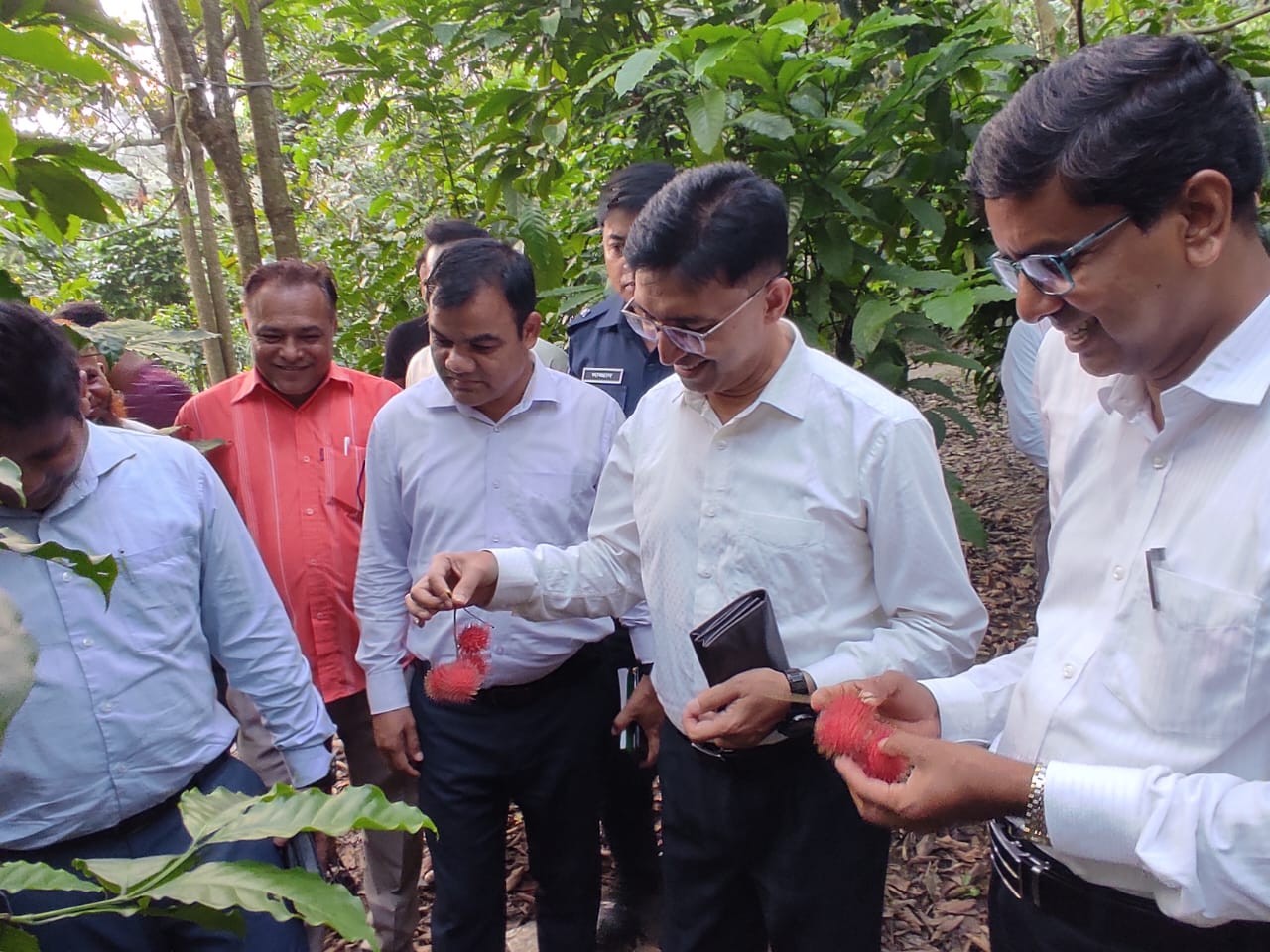 নারী উদ্যোক্তা খাদিজার রাম্বুটানের বাগান পরিদর্শন করলেন নীলফামারীর ডিসি