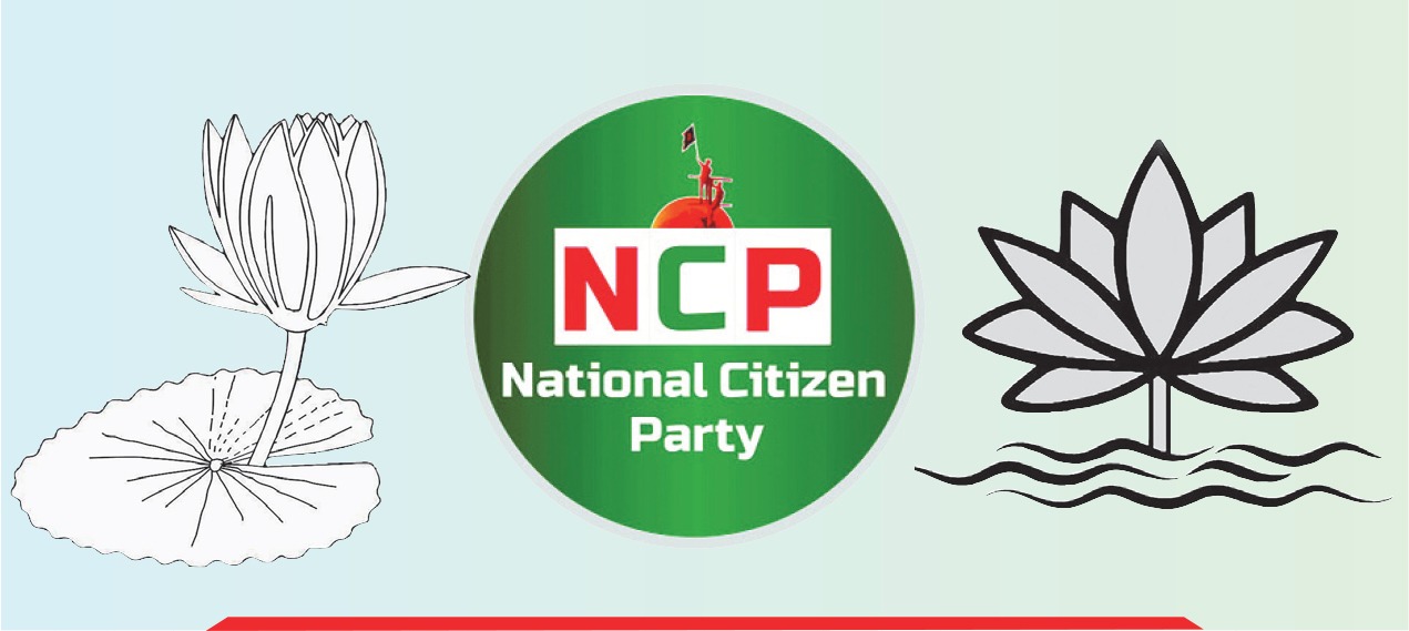 কলি নয়, শাপলাই চায় এনসিপি