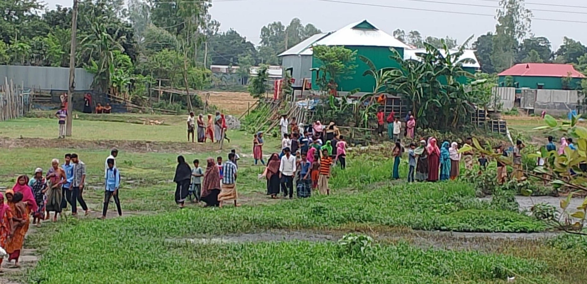 টাঙ্গাইলে ফার্ম কর্মচারীকে গলা কেটে হত্যা