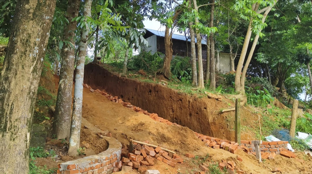 পৈত্রিক সম্পত্তি আত্মসাতের অভিযোগ  চার ভাইয়ের বিরুদ্ধে